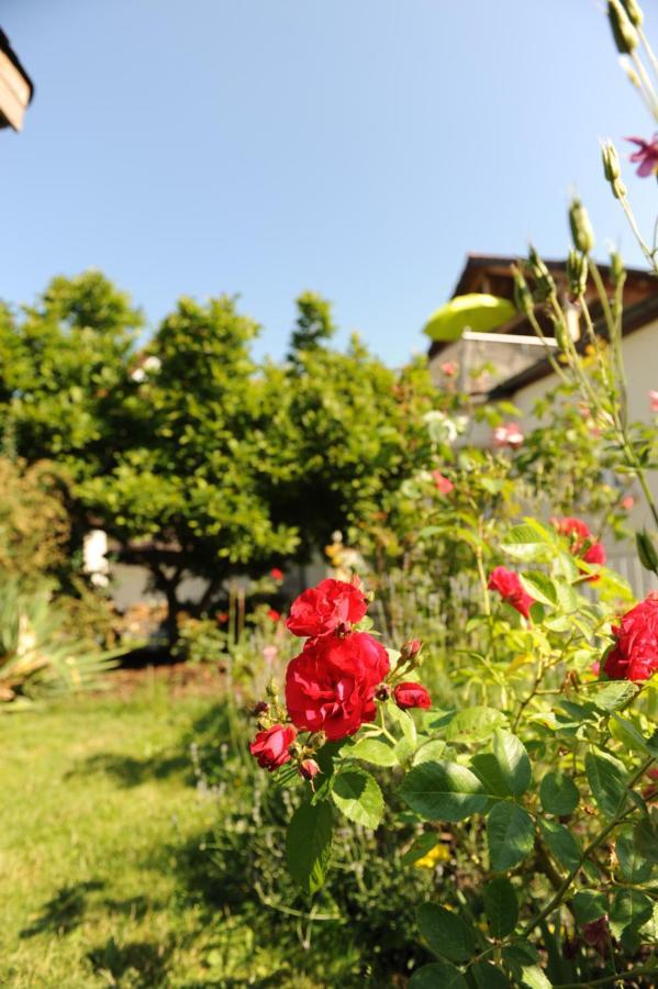 Apartment-Haus Gundelfinger Gräfenberg Buitenkant foto