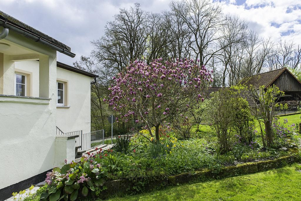 Apartment-Haus Gundelfinger Gräfenberg Buitenkant foto